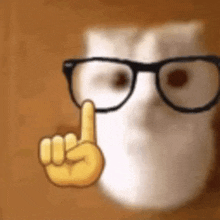 Podstawy.gif